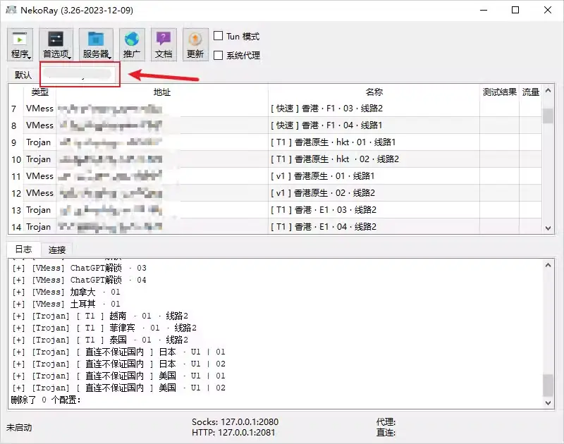 NekoRay 订阅更新后的节点列表，显示协议类型与节点名称