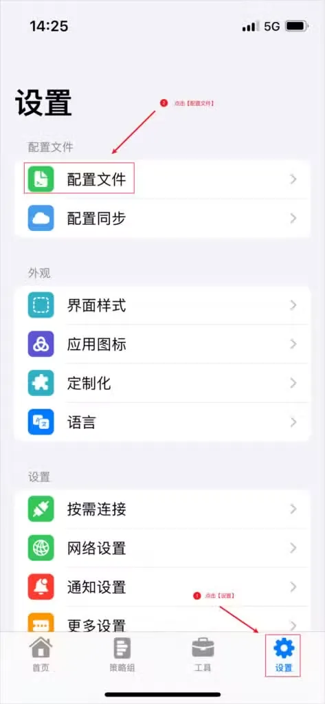Stash 设置页进入配置文件列表